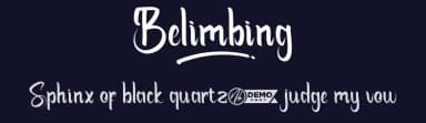 Belimbing by NihStudio — Script Handwritten Font — thumbnail 2