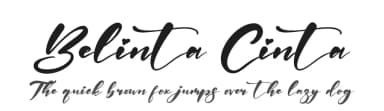Belinta Cinta by Letterena Studios — Script Handwritten Font — thumbnail 1