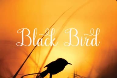 Bella Font by parawtype by parawtype — Script Handwritten Font — thumbnail 5