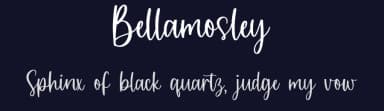 Bellamosley by Allouse Studio — Script Handwritten Font — thumbnail 2