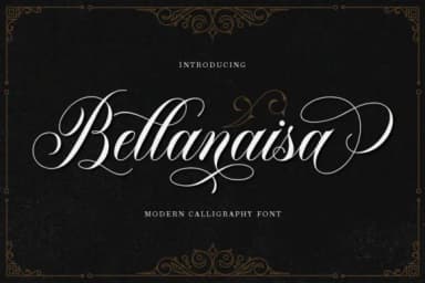 Bellanaisa Font by fargunstudio — Script Handwritten Font — thumbnail 1