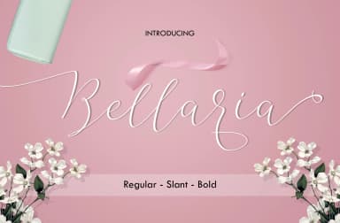 Bellaria Script Font by Best Font Studio — Script Handwritten Font — thumbnail 1