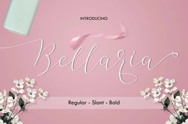 Bellaria Script Font by Best Font Studio — Script Handwritten Font