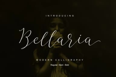 Bellaria Script Font by Best Font Studio — Script Handwritten Font — thumbnail 2