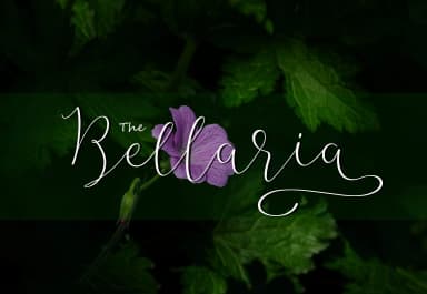Bellaria Script Font by Best Font Studio — Script Handwritten Font — thumbnail 3