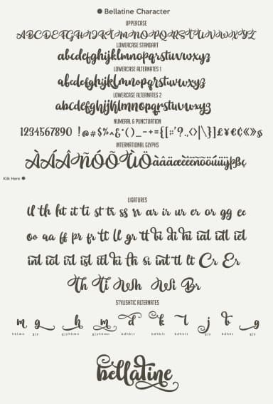 Bellatine Font by Motypeidea — Script Handwritten Font — thumbnail 4