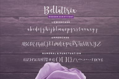 Bellattrix Font by Sronstudio — Script Handwritten Font — thumbnail 9