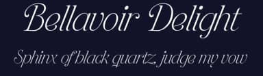 Bellavoir Delight by Måns Grebäck — Serif Font — thumbnail 2
