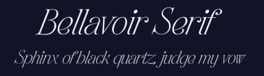 Bellavoir Serif by Måns Grebäck — Serif Font — thumbnail 2