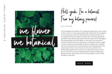 Bellevue Script Font by Graphicfresh — Script Handwritten Font — thumbnail 5