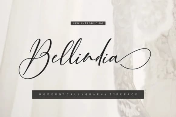 Bellindia Font by mightype89 — Script Handwritten Font — preview 1