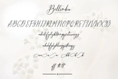 Bellindia Font by mightype89 — Script Handwritten Font — thumbnail 8