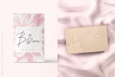 Bellissimi Font by Ayca Atalay — Script Handwritten Font — thumbnail 8