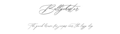 Bellychestor by Maulana Creative — Script Handwritten Font — thumbnail 1