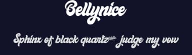 Bellynice by Holydie Studio — Script Handwritten Font — thumbnail 2