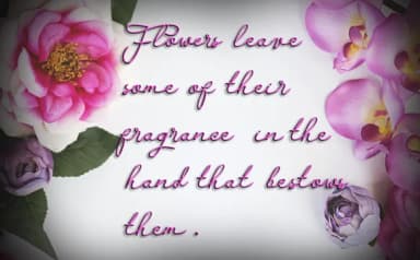 Bellynitha Font by victoriant99 — Script Handwritten Font — thumbnail 5