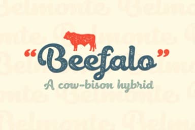 Belmonte Font by Nasir Udin — Script Handwritten Font — thumbnail 8