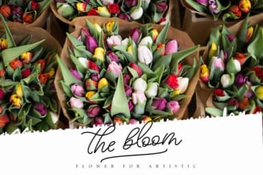 Beloved Script Font by alandya typefoundry — Script Handwritten Font — thumbnail 7