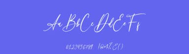 Beloved Collection by alphArtype — Script Handwritten Font — thumbnail 3