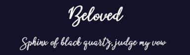 Beloved by Mr Letters — Script Handwritten Font — thumbnail 2