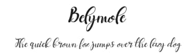 Belymole by Letterena Studios — Script Handwritten Font — thumbnail 1