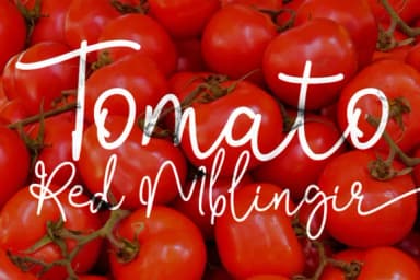 Bendina Sambat Font by aldedesign — Script Handwritten Font — thumbnail 6