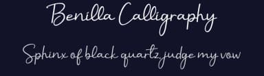 Benilla Calligraphy by AEN Creative Studio — Script Handwritten Font — thumbnail 2