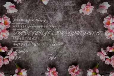 Bentley Font by Vunira — Script Handwritten Font — thumbnail 6