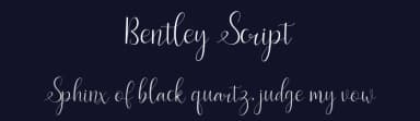 Bentley Script by Amarlettering - Takiy — Script Handwritten Font — thumbnail 2