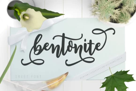 Bentonite Script Font by Franstudio — Script Handwritten Font — preview 1