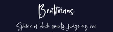 Benttoinas by Letterena Studios — Script Handwritten Font — thumbnail 2
