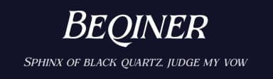 Beqiner by Denustudios — Serif Font — thumbnail 2