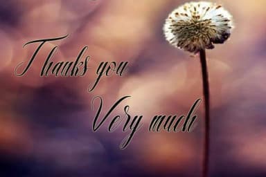 Bergita Font by AsaharStudio — Script Handwritten Font — thumbnail 6