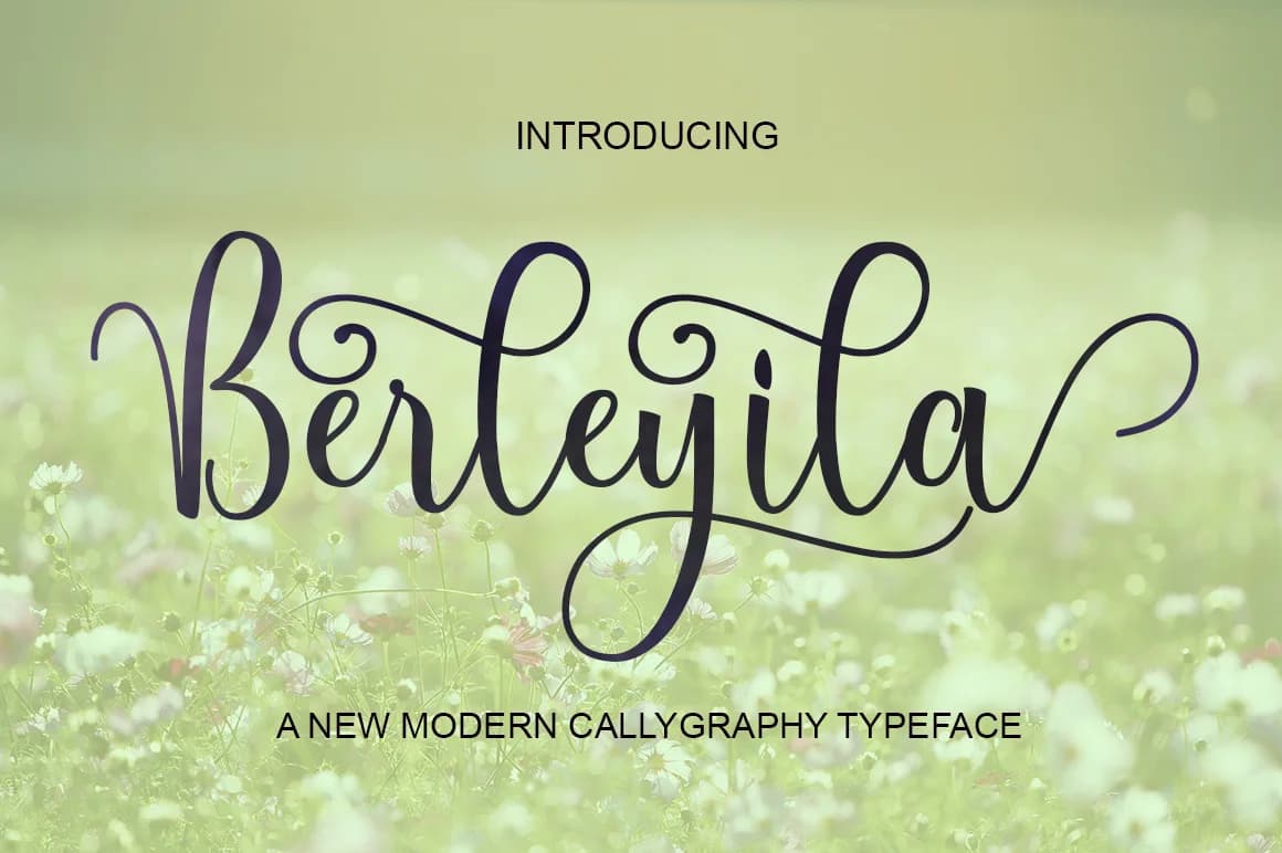 Berleyila Font by Polem — Script Handwritten Font
