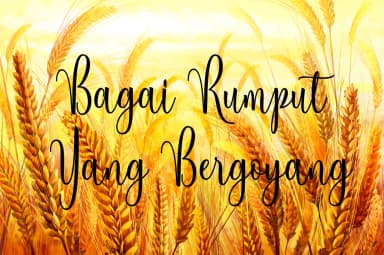 Berleyila Font by Polem — Script Handwritten Font — thumbnail 7