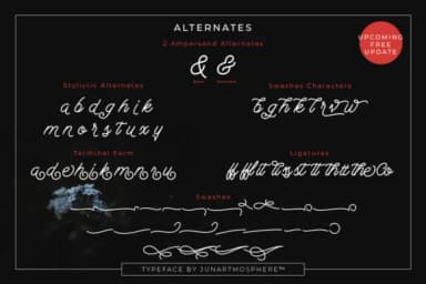 Berliana Script Font by junanobi — Script Handwritten Font — thumbnail 9