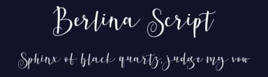 Berlina Script by Twntysix — Script Handwritten Font — thumbnail 2