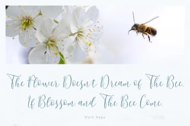 Berlinsa Font by FadeLine — Script Handwritten Font — thumbnail 7