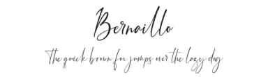 Bernaillo by Pen Culture — Script Handwritten Font — thumbnail 1