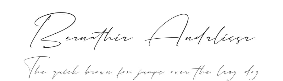 Bernathia Andalissa by Storytype Studio — Script Handwritten Font — preview 1