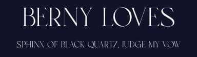Berny Loves by Penatic Studio — Serif Font — thumbnail 2