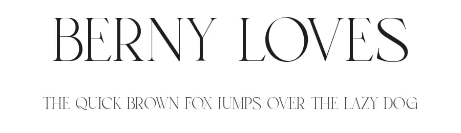 Berny Loves by Penatic Studio — Serif Font — preview 1