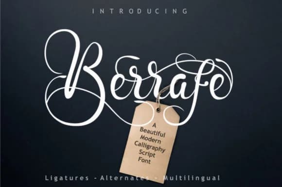 Berrafe Font by leamsign — Script Handwritten Font