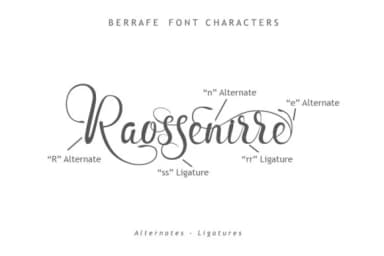 Berrafe Font by leamsign — Script Handwritten Font — thumbnail 3