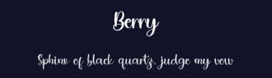 Berry by PiPi Creative STUDIO — Script Handwritten Font — thumbnail 2