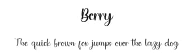 Berry by PiPi Creative STUDIO — Script Handwritten Font — thumbnail 1