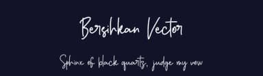 Bersihkan Vector by Graphicfresh — Script Handwritten Font — thumbnail 2
