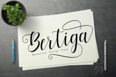 Bertiga Font by Rudistudio — Script Handwritten Font — thumbnail 1