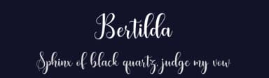 Bertilda by Amarlettering - Takiy — Script Handwritten Font — thumbnail 2