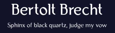 Bertolt Brecht by Thiago Matsunaga — Sans Serif Font — thumbnail 2